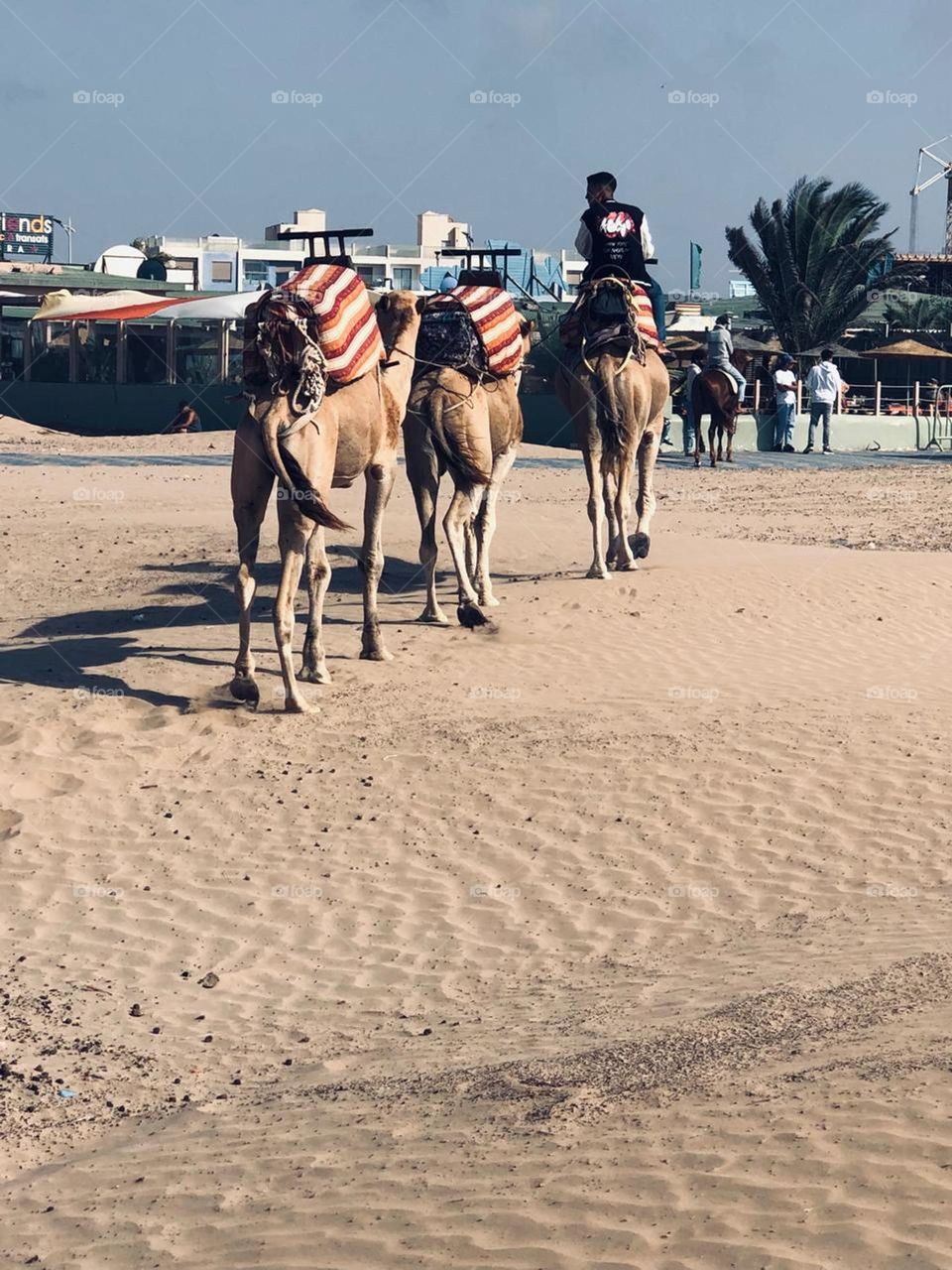 beautiful caravan near the beach