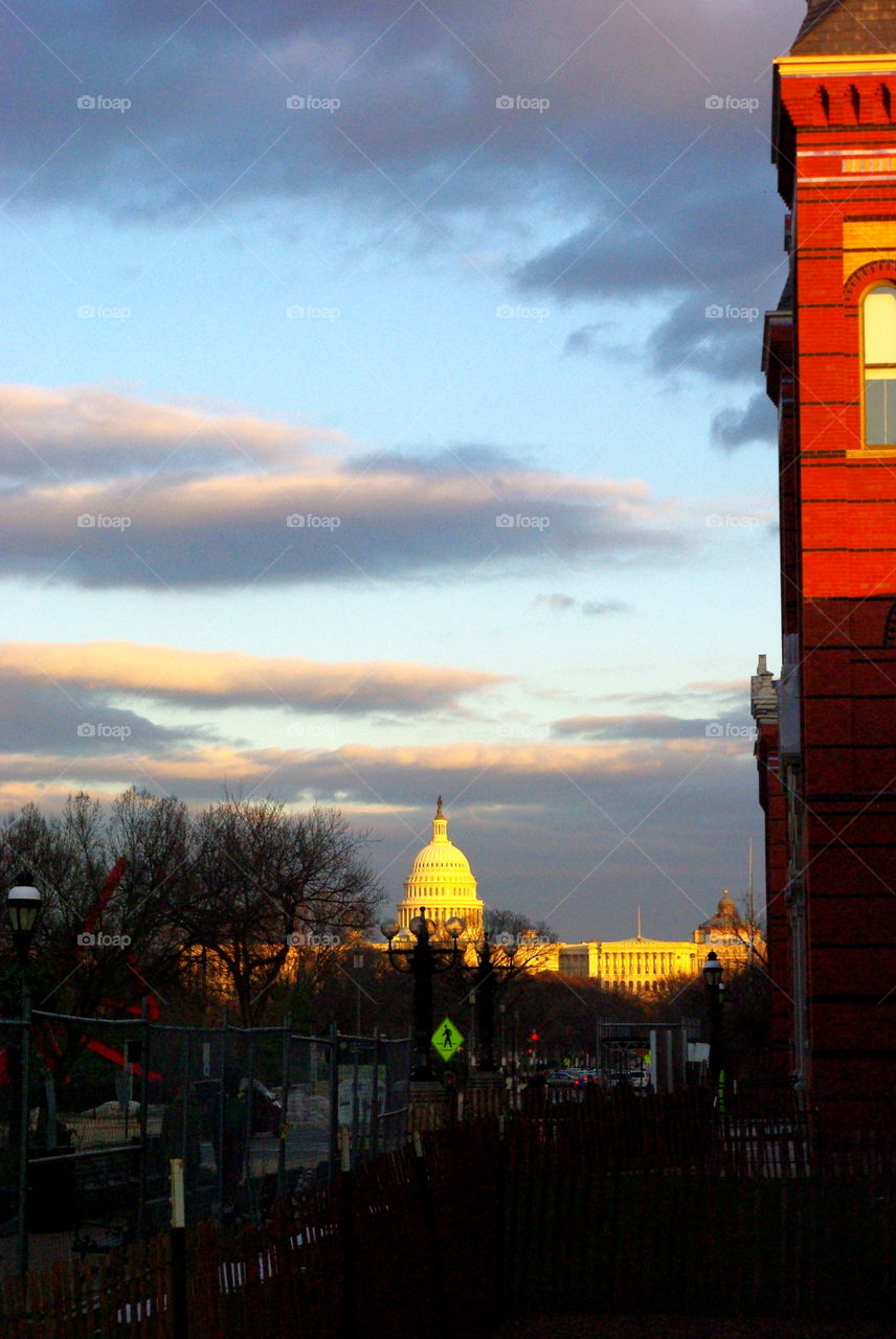 A view of the Capital building from the Smithsonian in D.C.