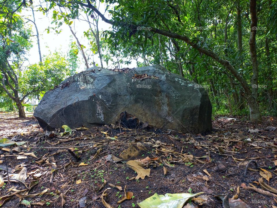 The large stone is in the residents' plantation