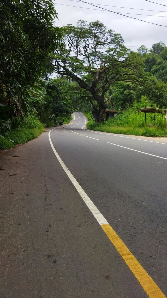 beautiful road