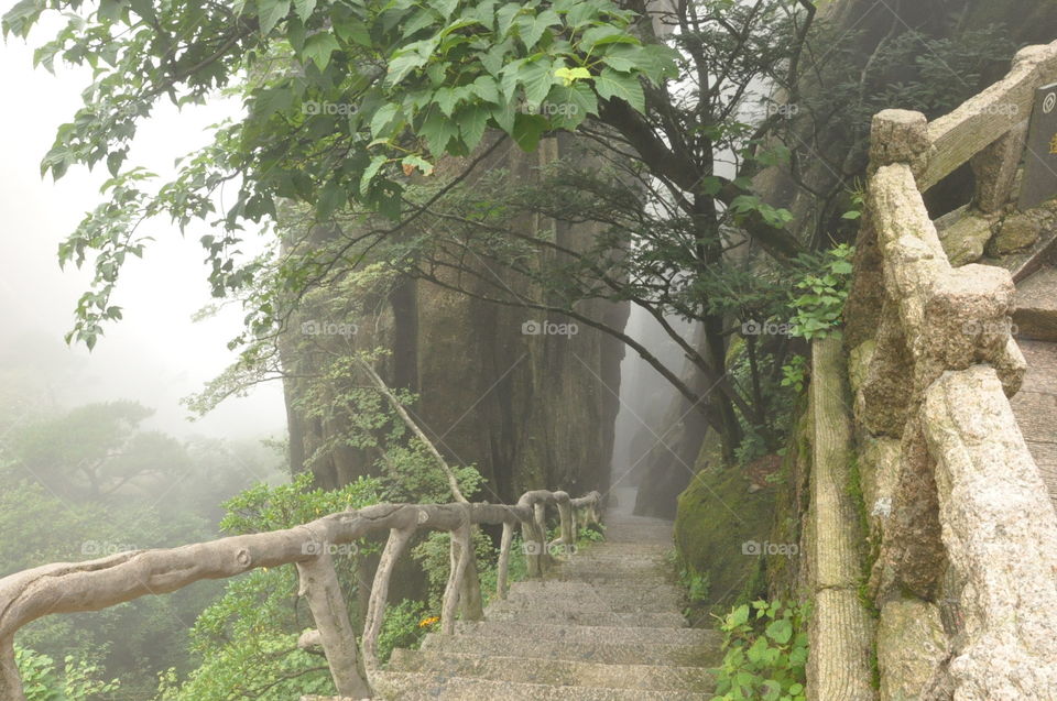 Misty stairs in the mountains