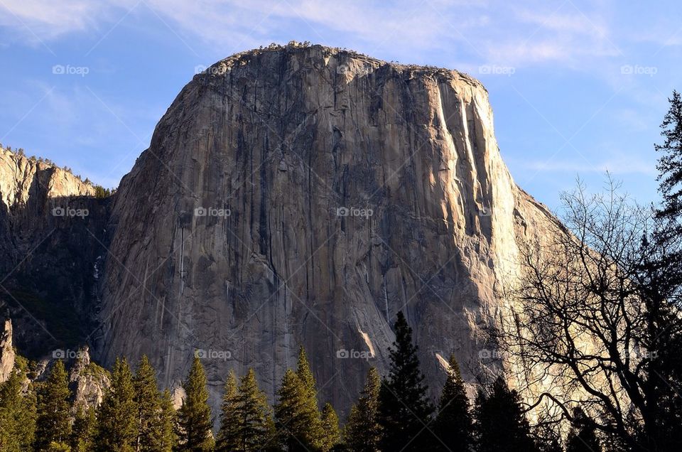 El cap