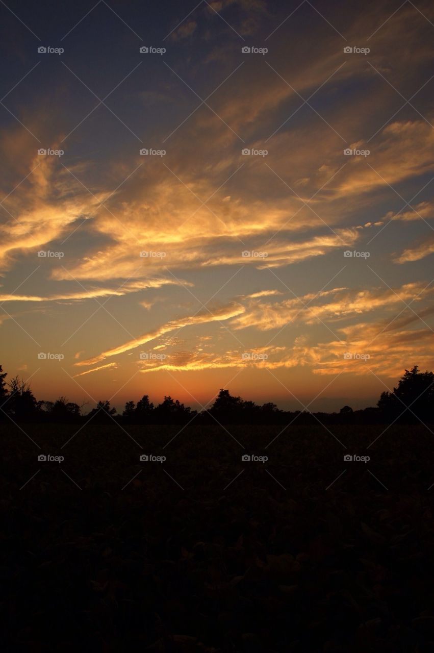 Clouds at Sunset