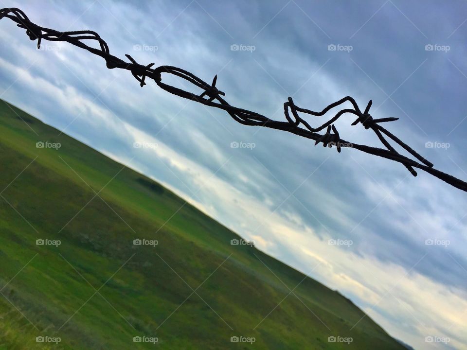 Barb wire
