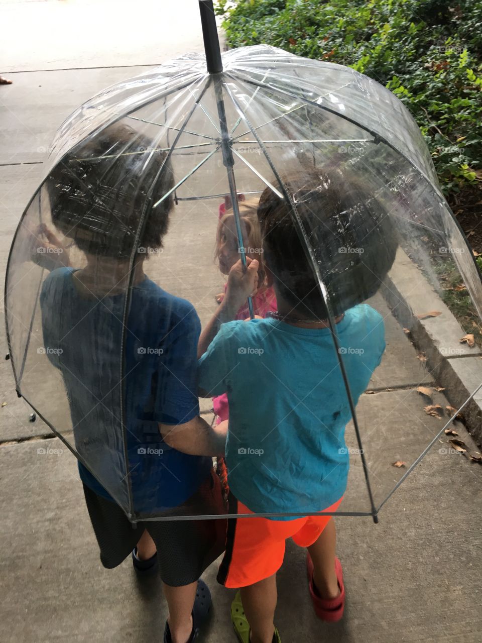 Girl, Umbrella, People, Rain, Child