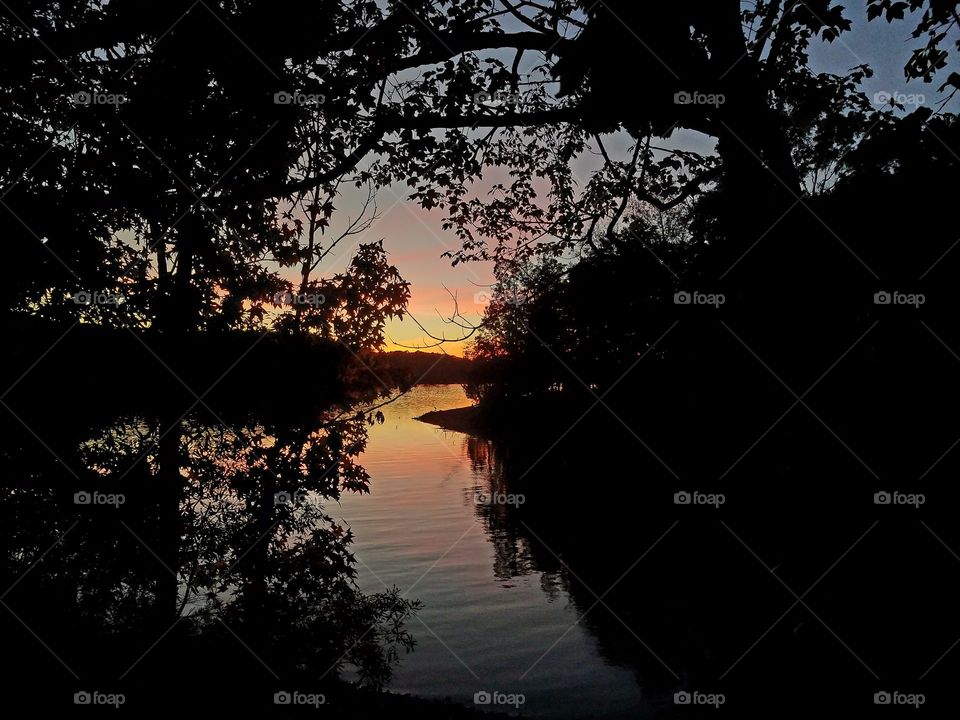 sunset in forest looking onto a lake.