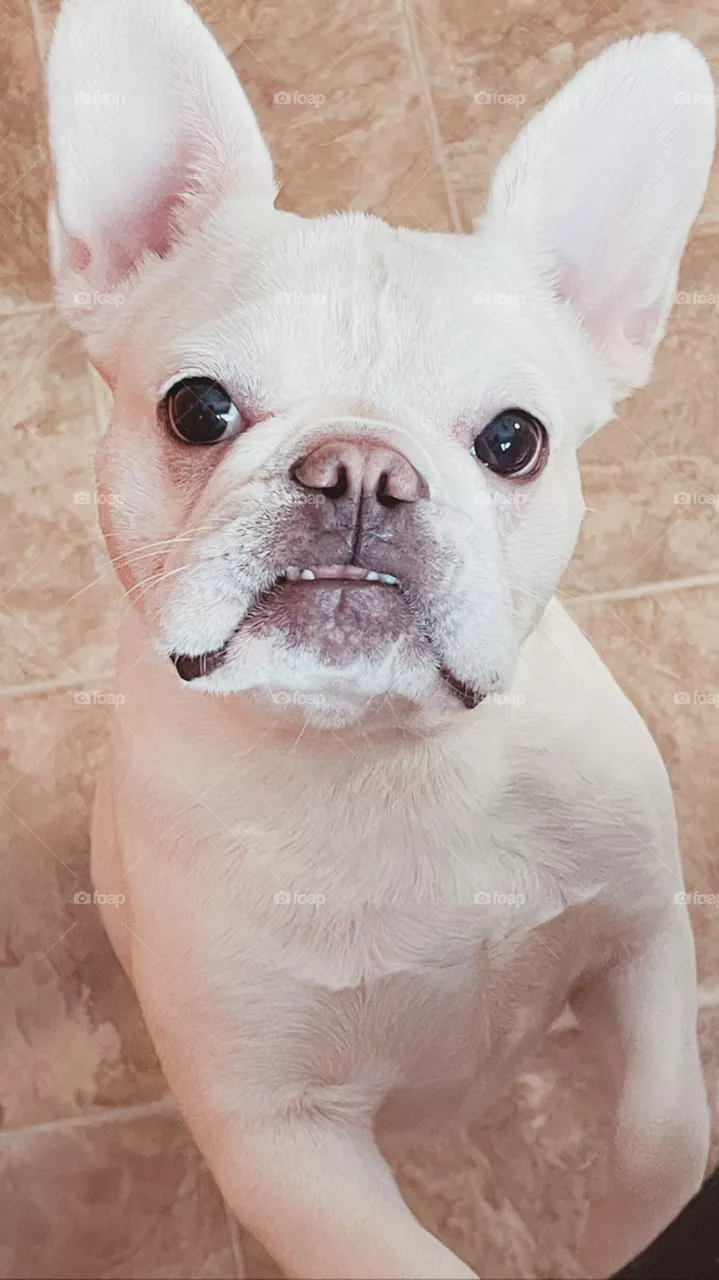 A very good girl ♥️