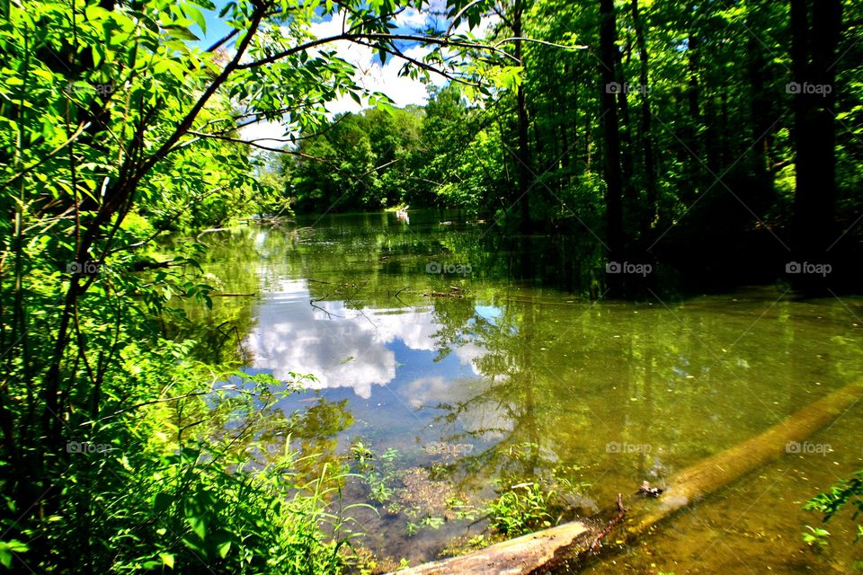 Beautiful lake views in Indiana 
