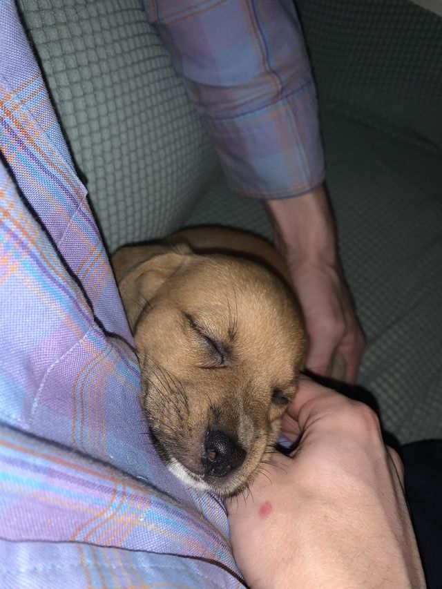 Our sweet girl.