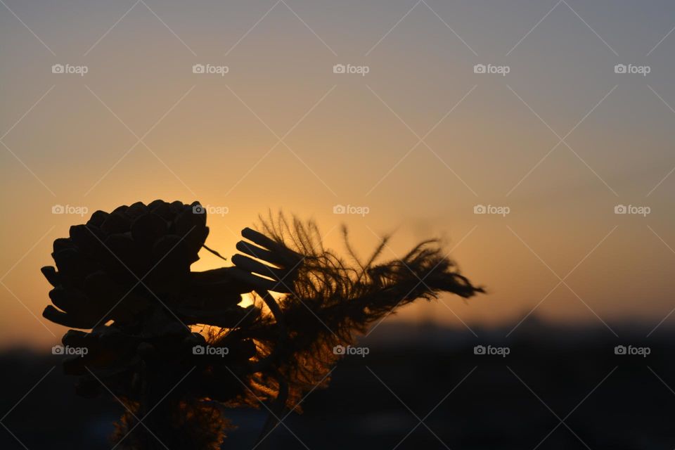 Sunsets are a magical sight