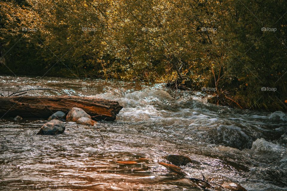 Chaotic river and it’s impulses.