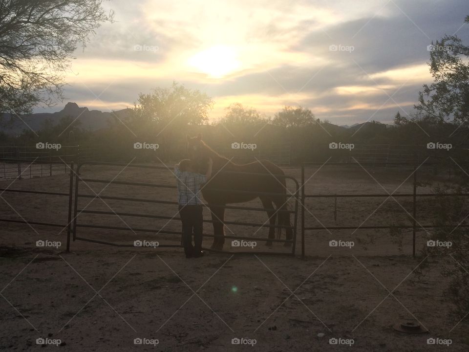 Rear view of boy with horse at sunset