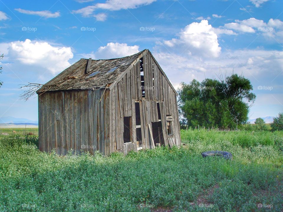 Country shack