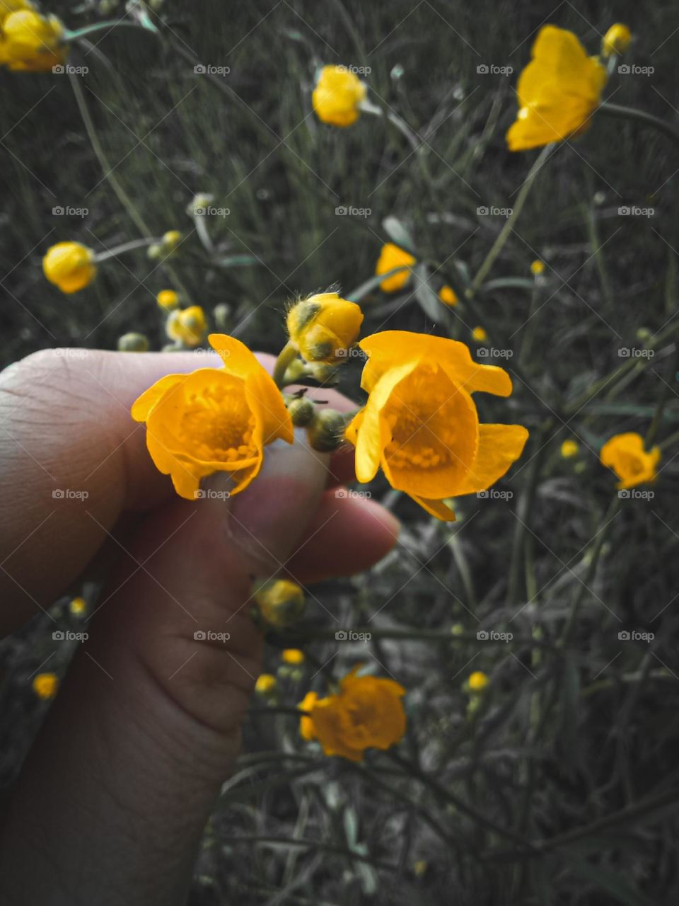 you can see everything you want