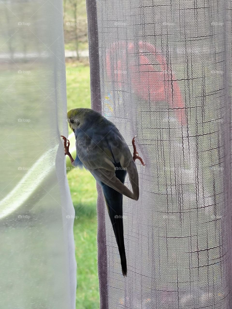 What's the weather like today?