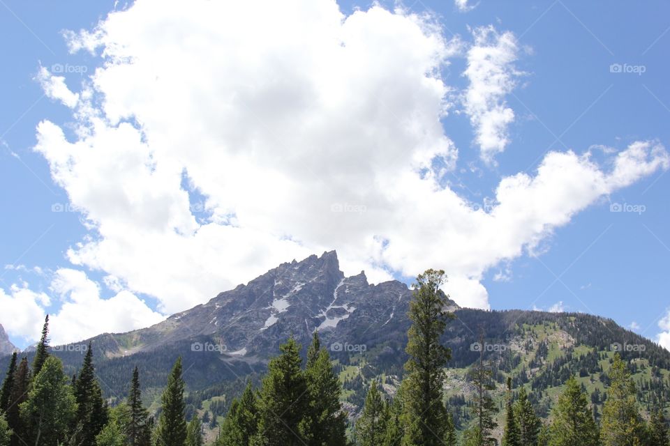 Jenny lake mountains 