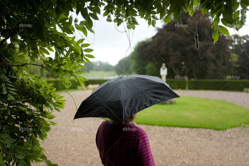 Umbrella 