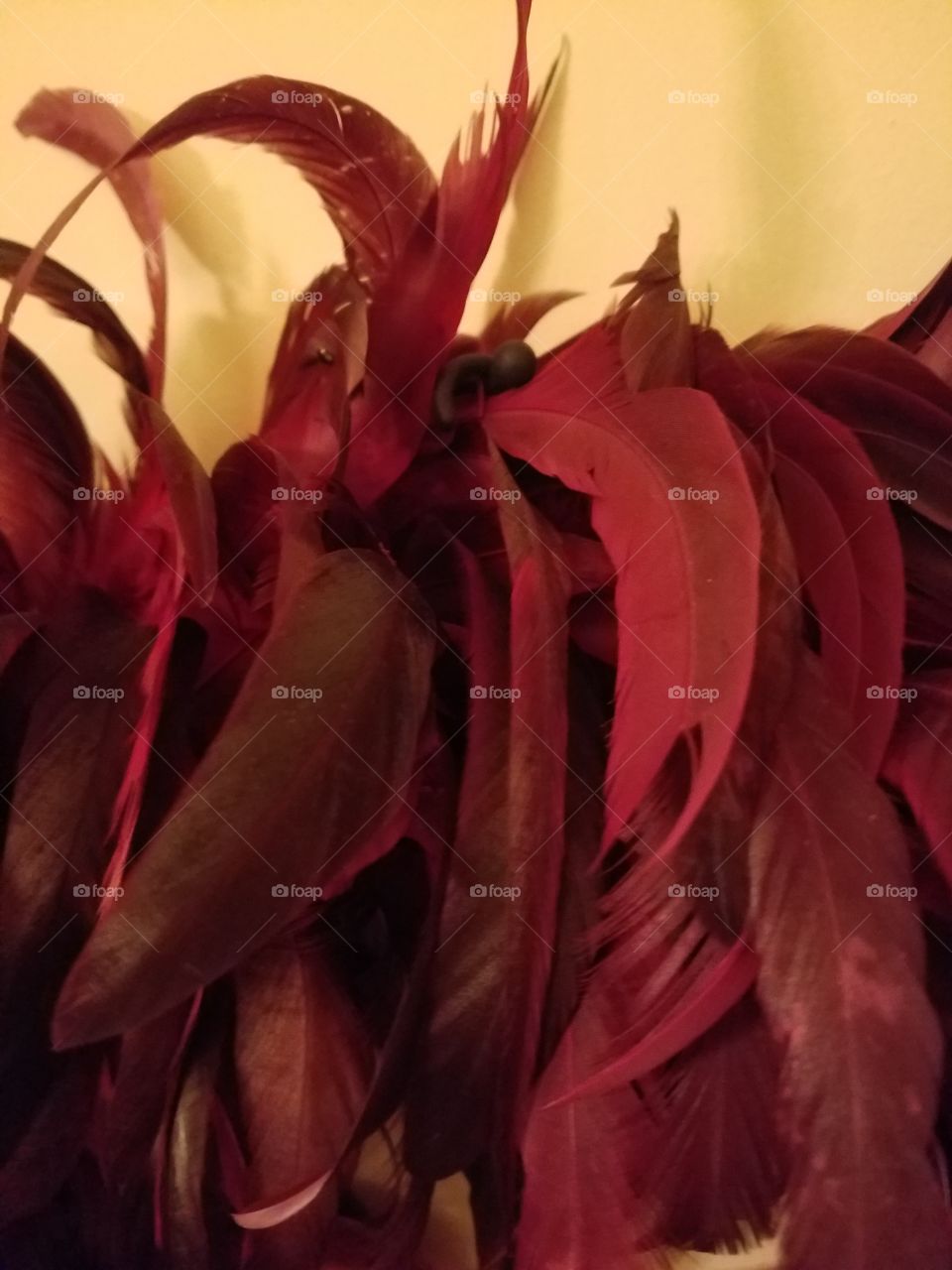 charm hiding in the red feathers