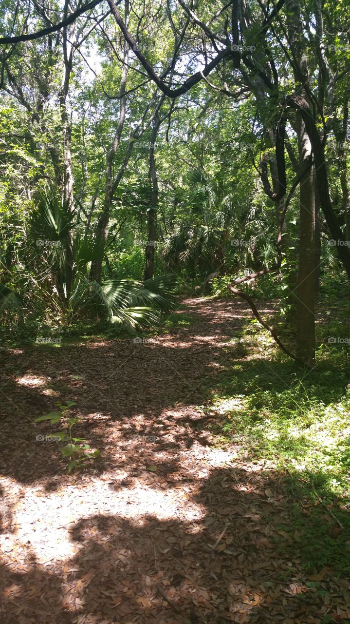 trail at the Shell mounds