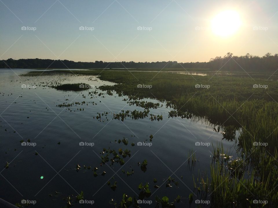 No Person, Water, Dawn, Sunset, Landscape