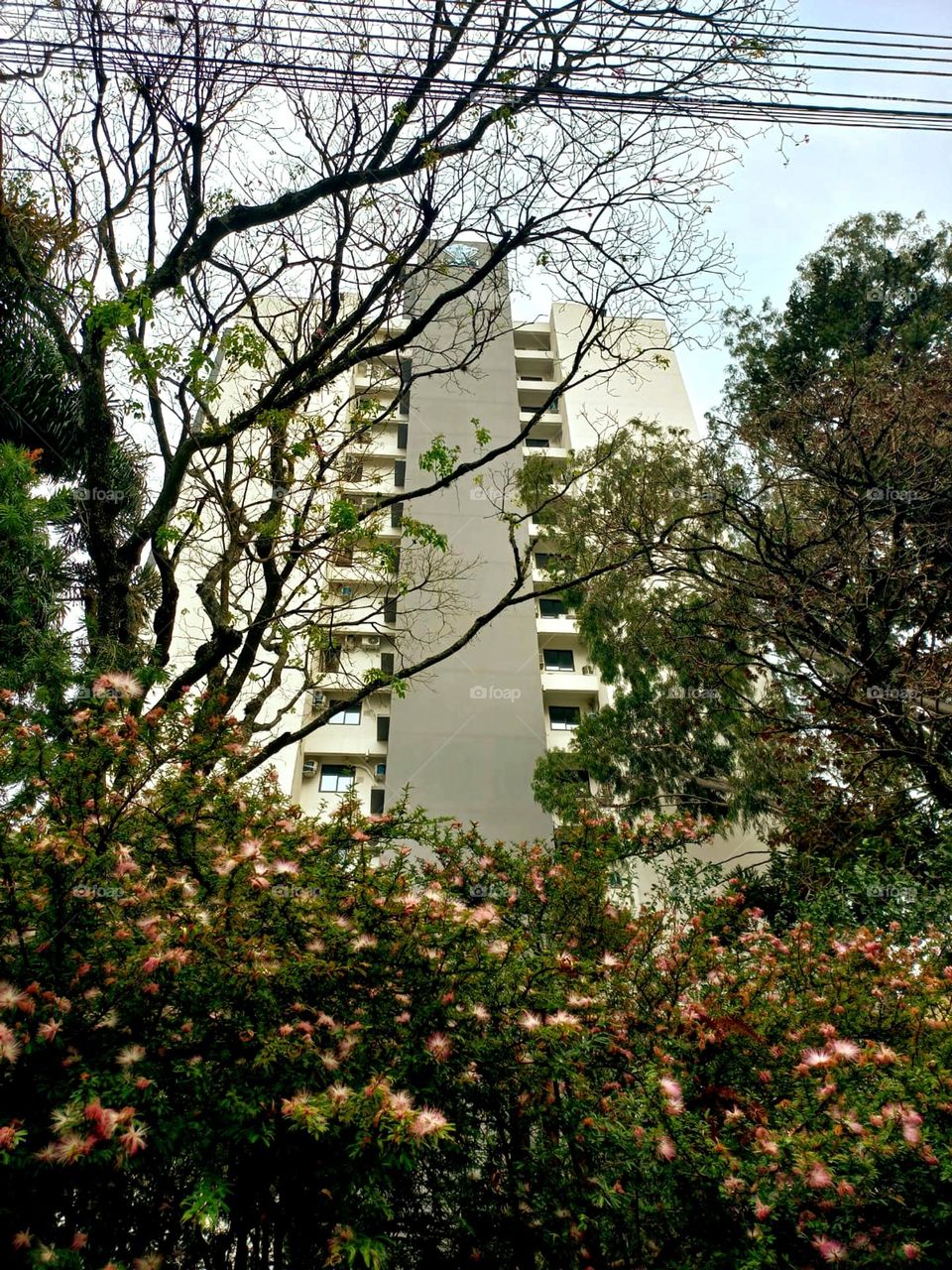 Por entre a natureza