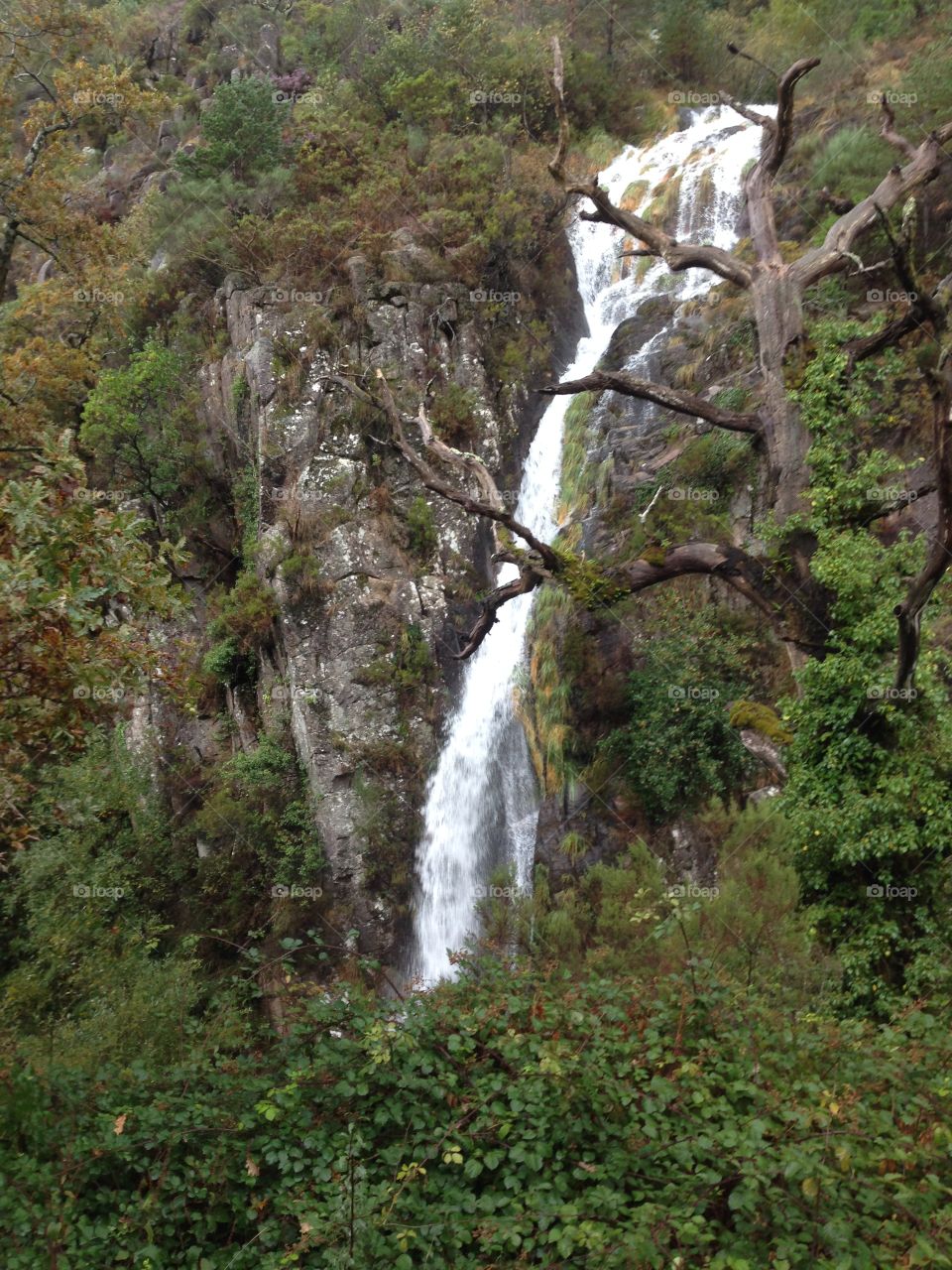Waterfall In Gerês 