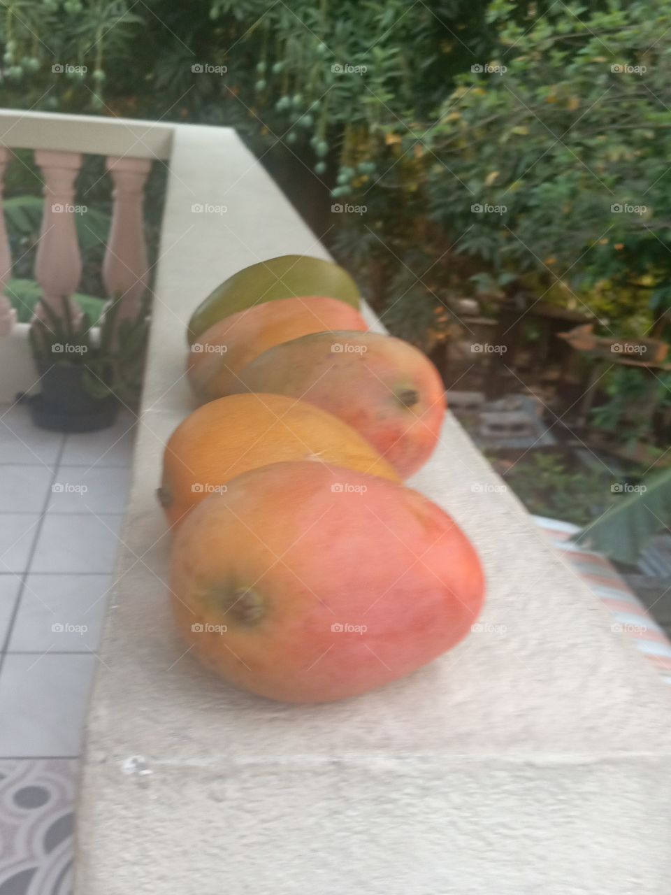 mango array