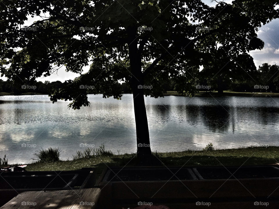 tree lake reflection rest by Nikita80