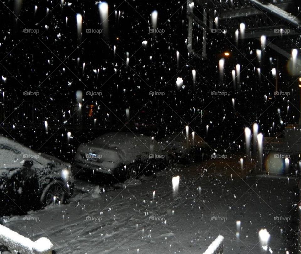 Snowing night 