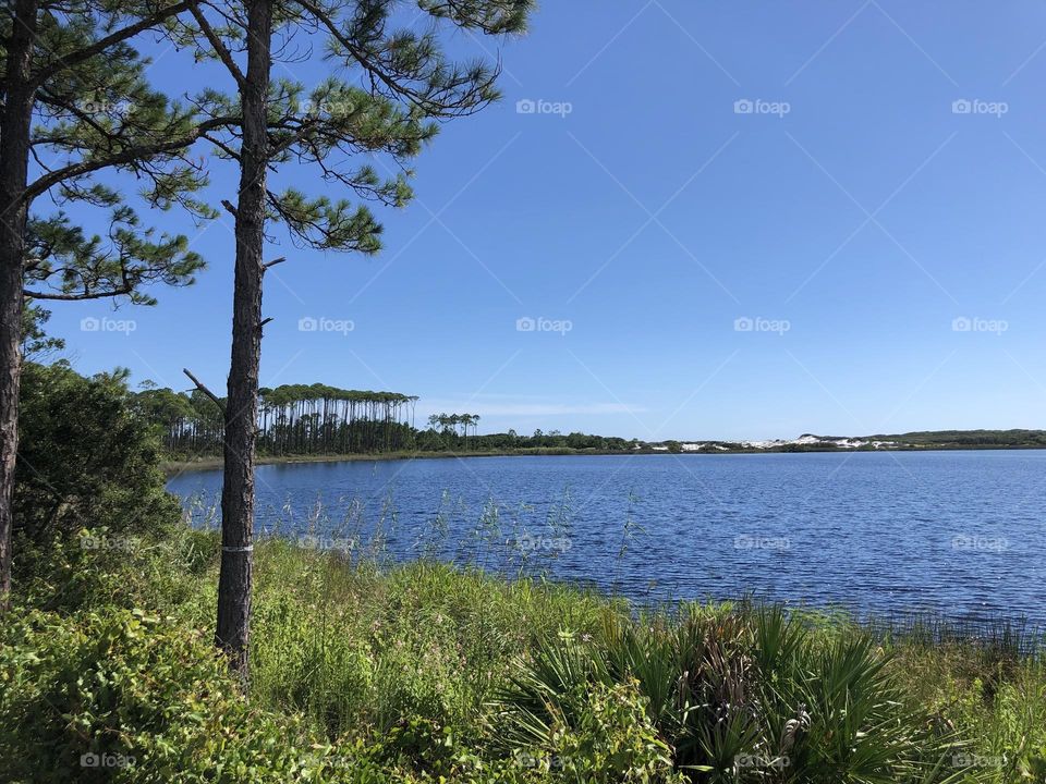 Clear blue sky water florida panhandle summer vacation relaxation bay ocean