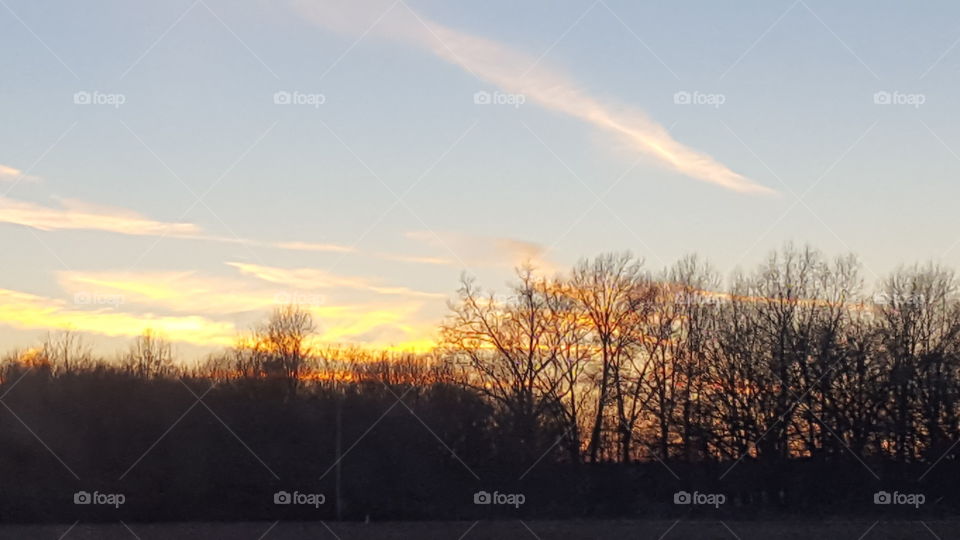 bright clouds over the trees at sunset