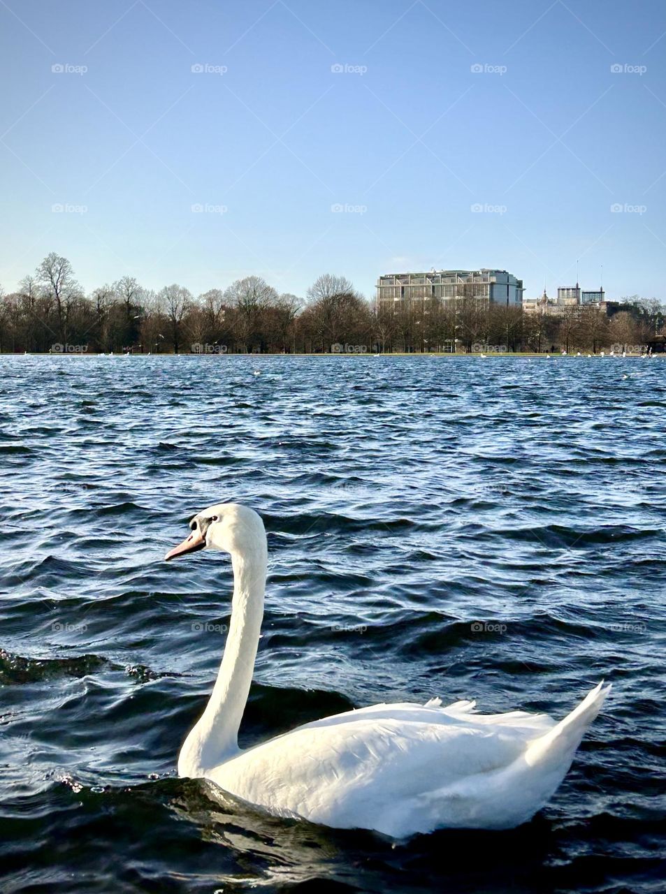 Hyde park , Juanary 2023 . 