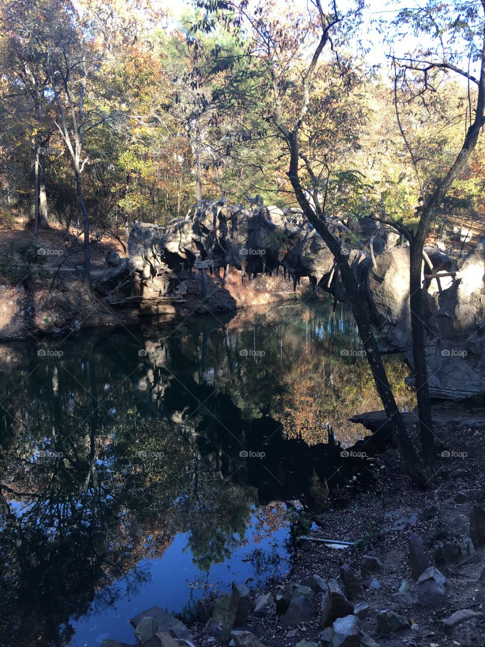 Reflections in the water