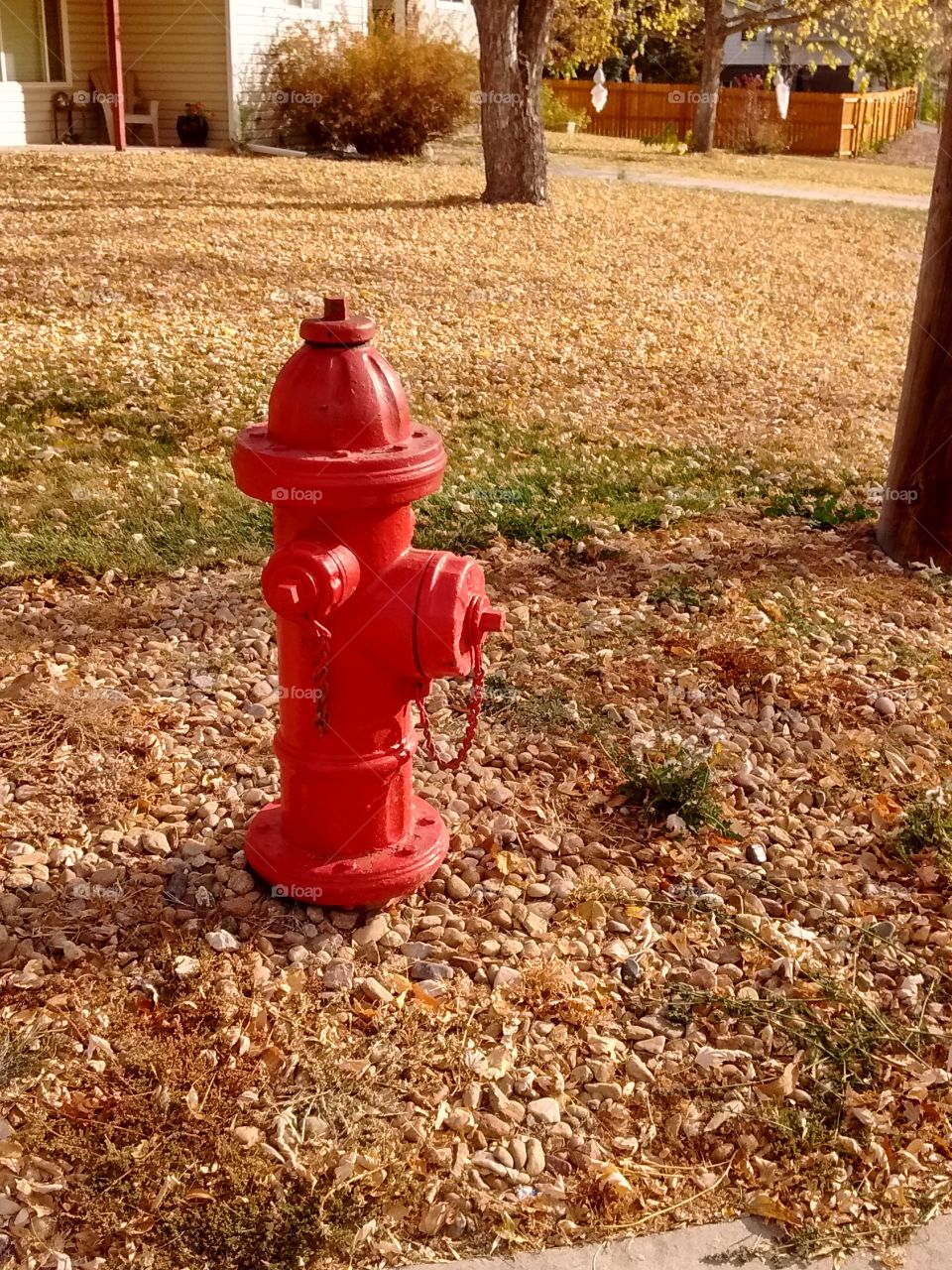 red fire hydrant in yarf