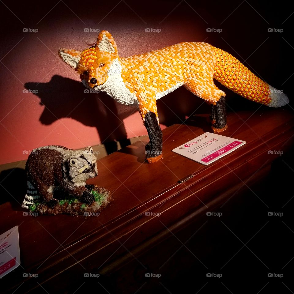 Fox and Raccoon made of jelly beans, candy corn, and different flavor twizzlers. In a NYC pop-up shop, Candytopia.
