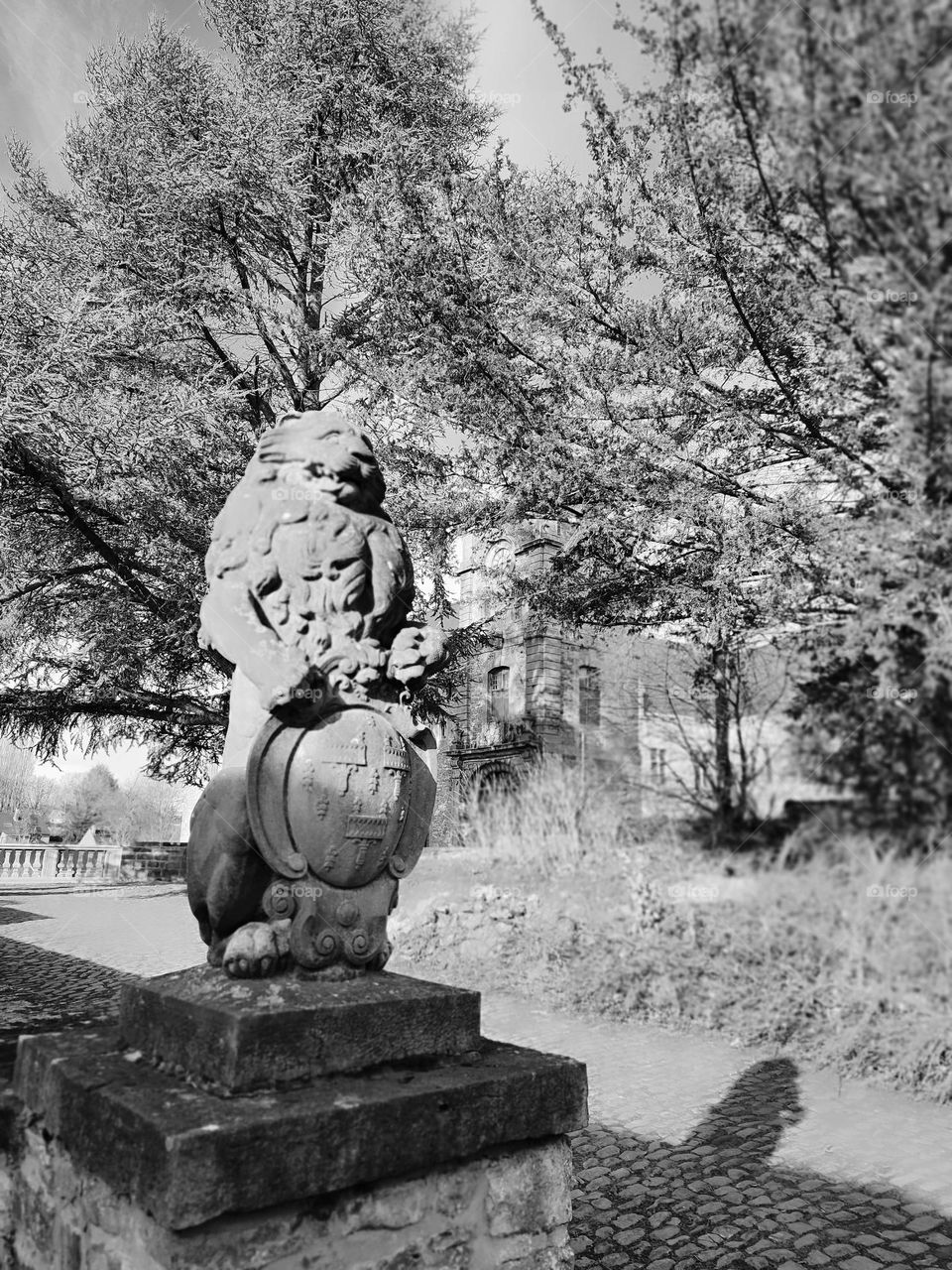 Visit of the Château fort d'Ecaussines