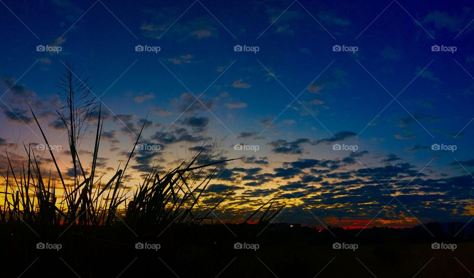 21/04/2019, 06h - Jundiaí / SP - Brasil.
Viva a natureza e seu maravilhoso amanhecer. 