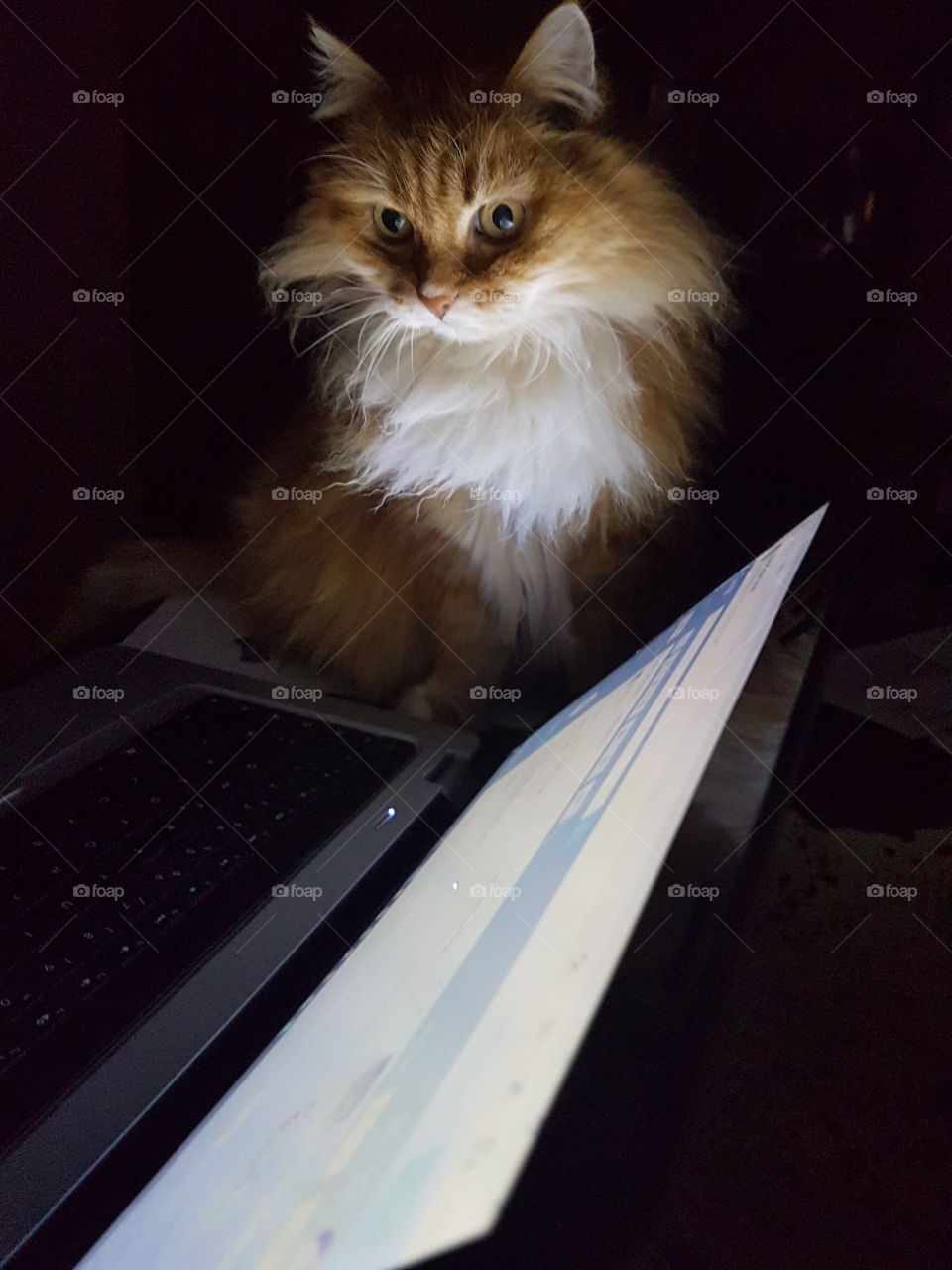 Light by the monitor