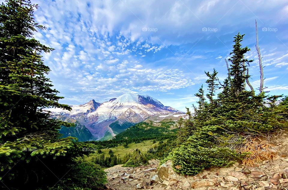 Mount Ranier, Framed with Trees