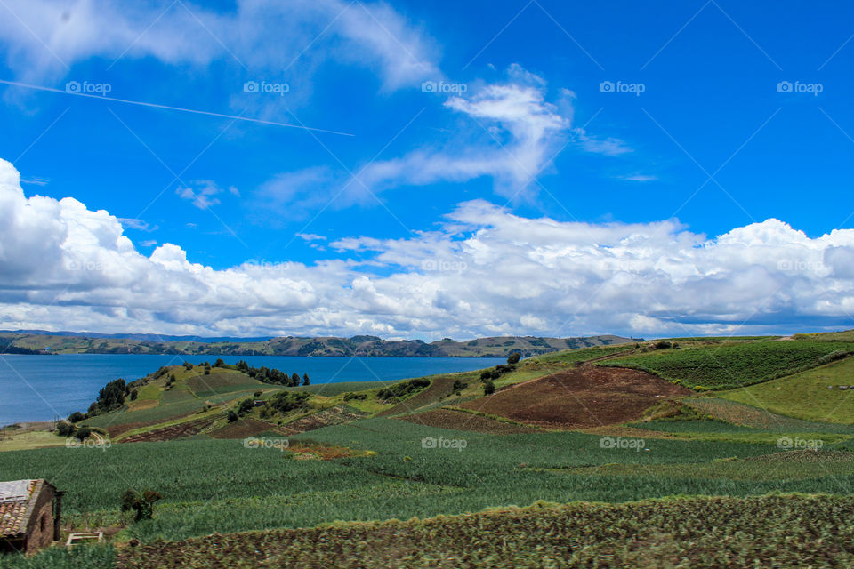 50 shades of green. Scallion plantations by the Tota lake on a perfect sunny day in Boyaca, Colombia.
