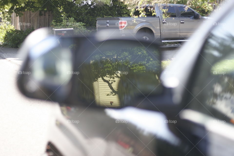 tree reflection in a car mirror
