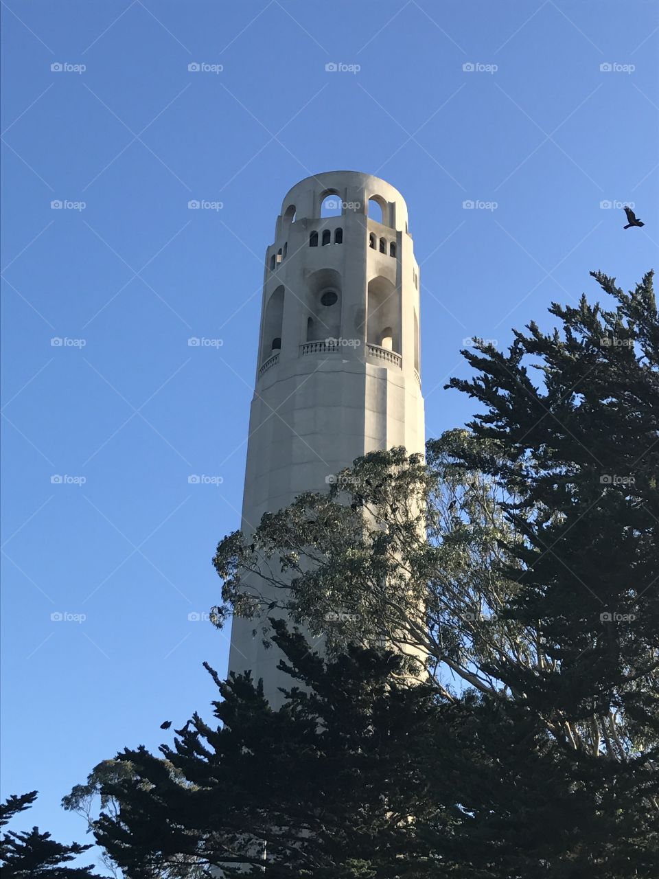 Coit Tower, San Francisco, California 