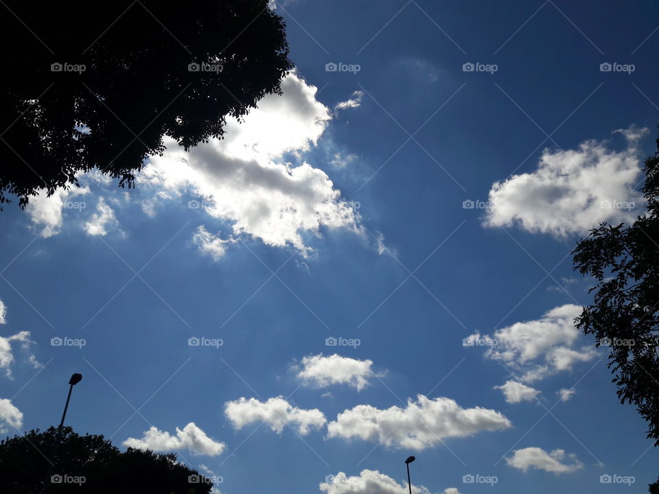 Ferrara cloud