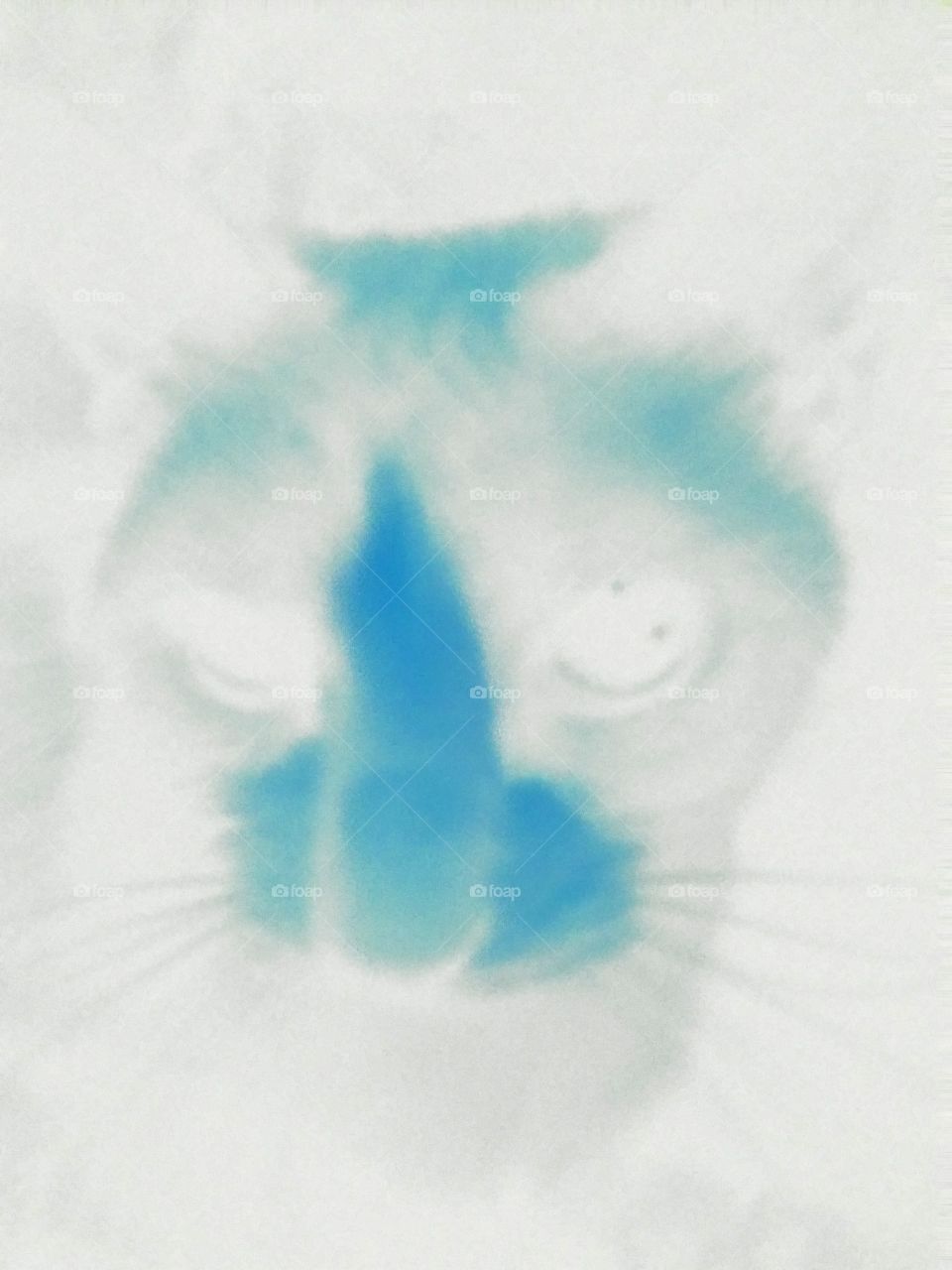 cat in negative