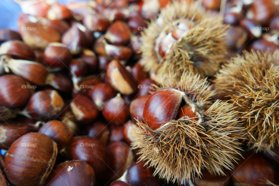 chestnuts