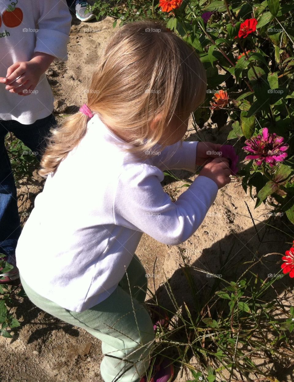 Inspecting the zinnias 