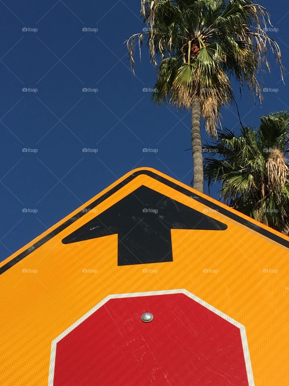 Sign with palm trees in background 