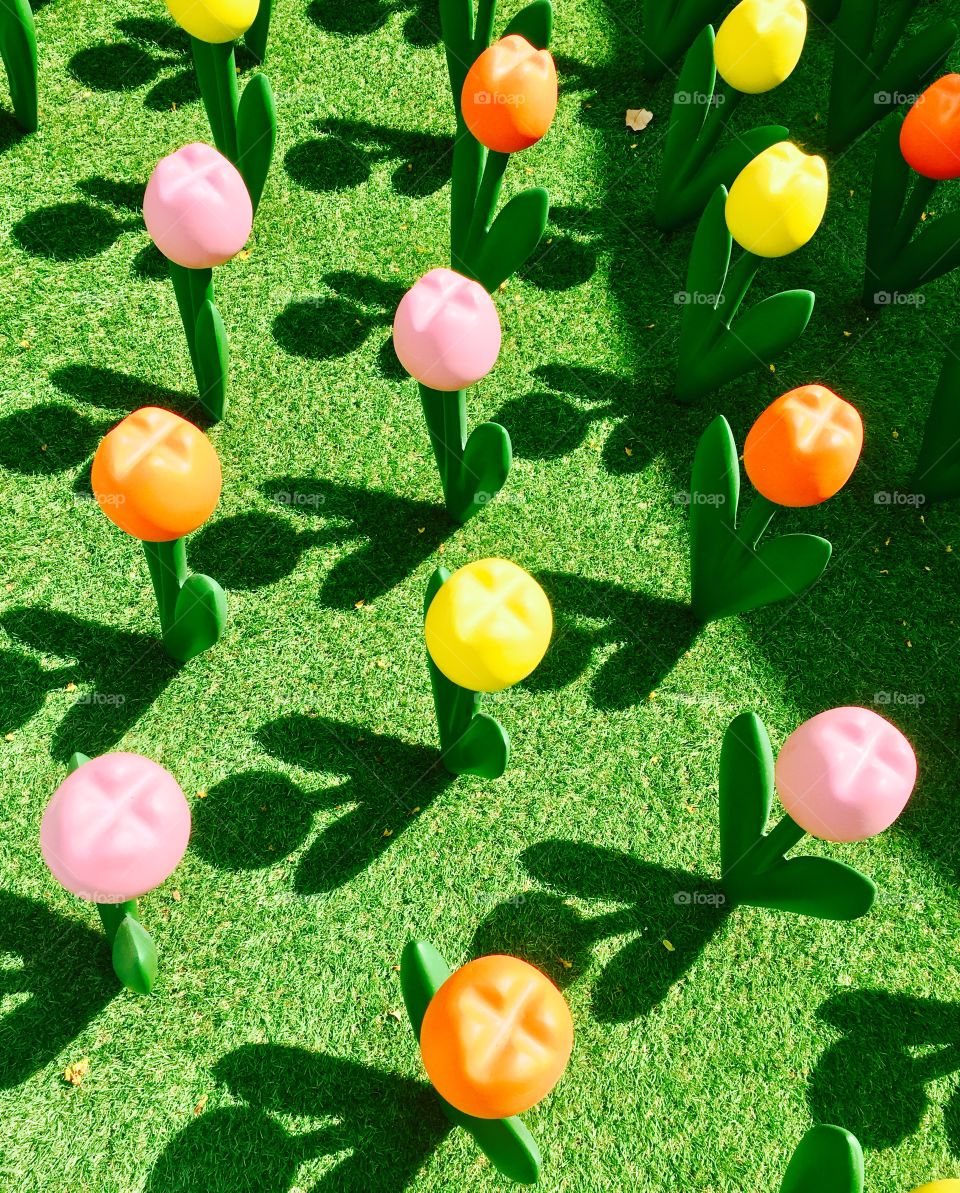 Colorful Tulip artificial model top view on green field