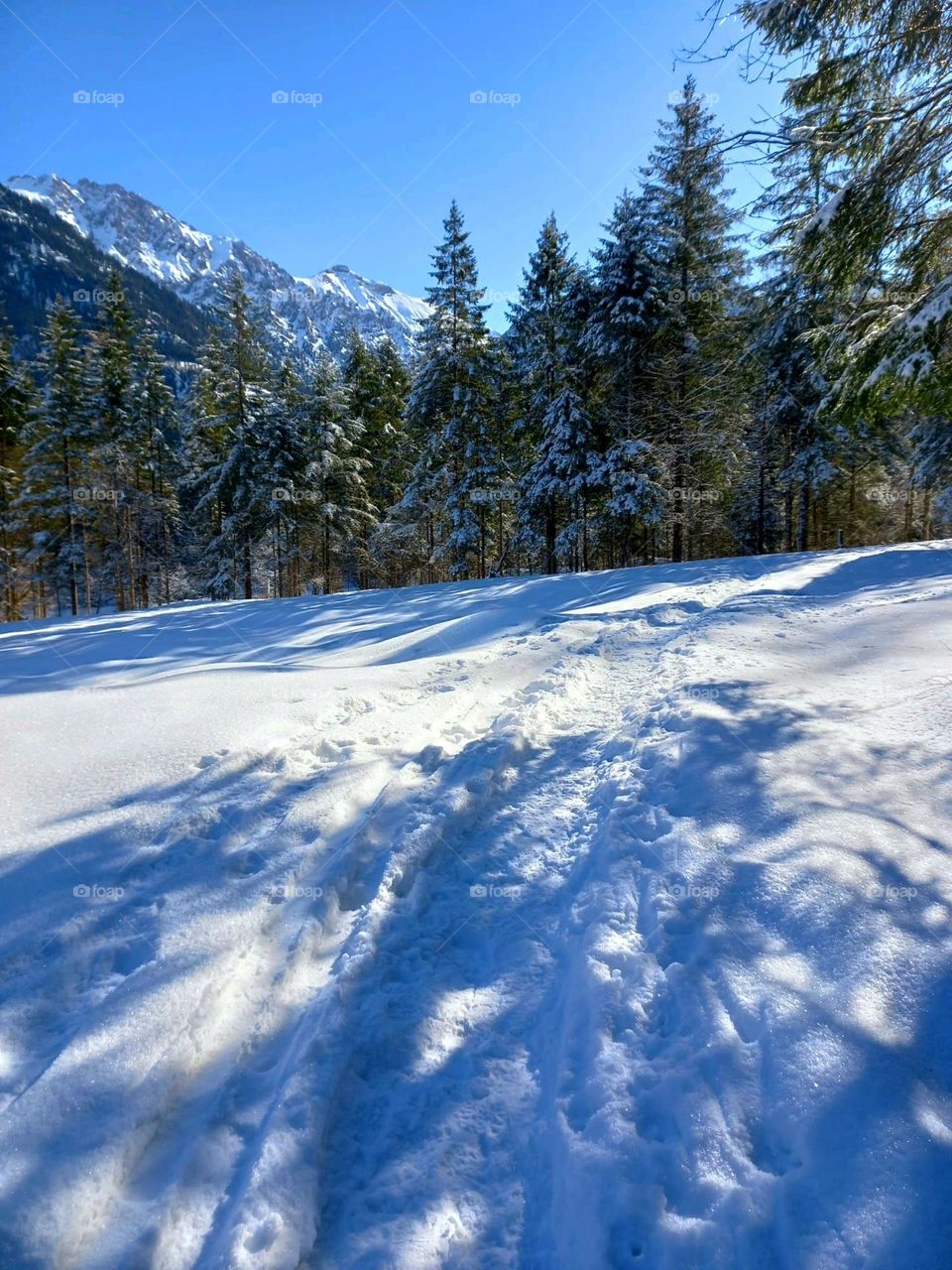 Mountains Sun and Snow