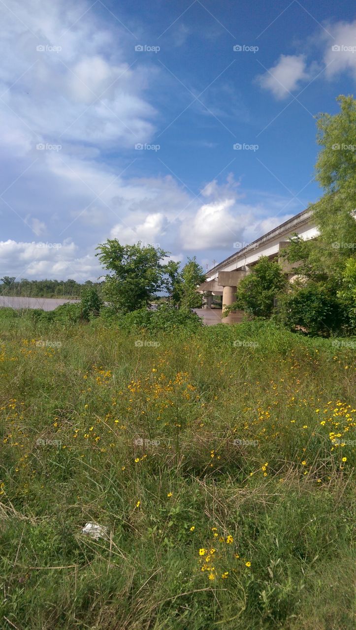 No Person, Sky, Nature, Outdoors, Landscape